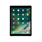 apple_ipad_pro_new_12_9_spgry